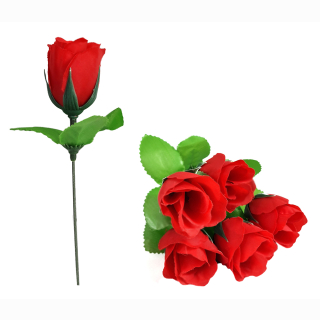 Rose rot 15 cm