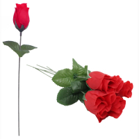 Rose rot  ca 25 cm